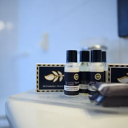 酒店 莎沃丽雅酒店 3*